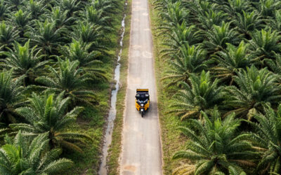 Why Malaysian Palm Oil Farms Are Switching to Electric FFB Transporters