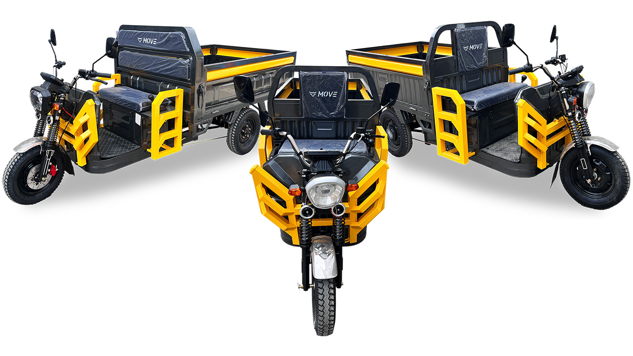 MOVE EVO series electric cargo tricycle Malaysia EVO I EVO II Standard and Pro comparison